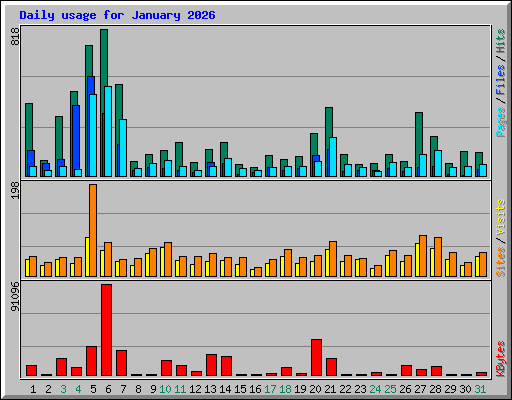 Daily usage for January 2026