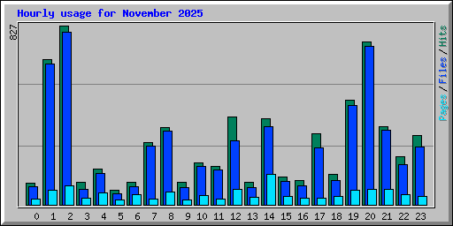 Hourly usage for November 2025