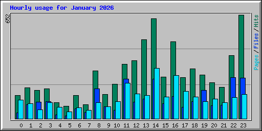 Hourly usage for January 2026