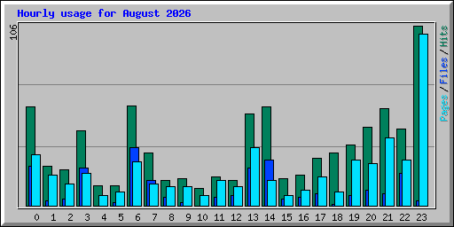 Hourly usage for August 2026